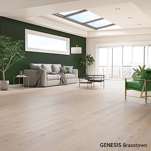 Genesis